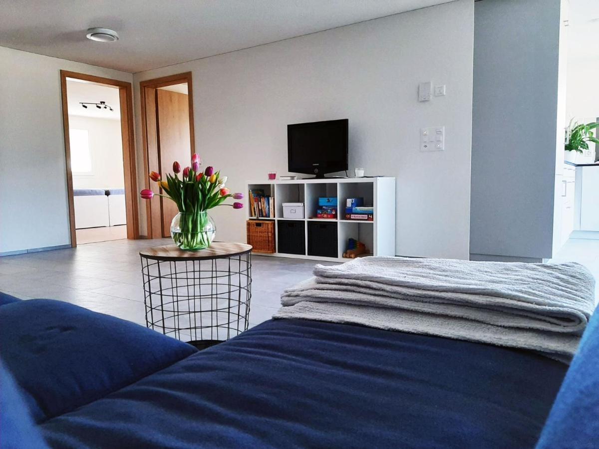 Appartement Haus Melchaazopf à Giswil Extérieur photo